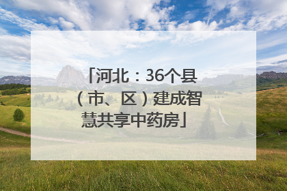河北：36个县（市、区）建成智慧共享中药房
