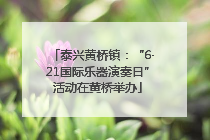 泰兴黄桥镇：“6·21国际乐器演奏日”活动在黄桥举办