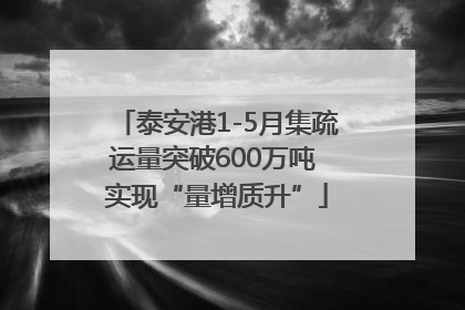泰安港1-5月集疏运量突破600万吨 实现“量增质升”