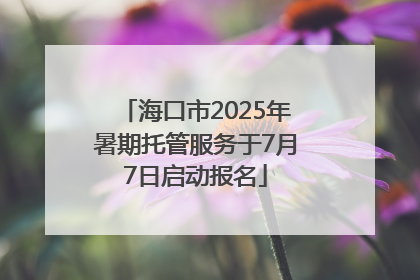 海口市2025年暑期托管服务于7月7日启动报名