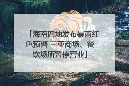 海南四地发布暴雨红色预警 三亚商场、餐饮场所暂停营业