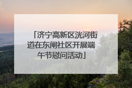 济宁高新区洸河街道在东闸社区开展端午节慰问活动