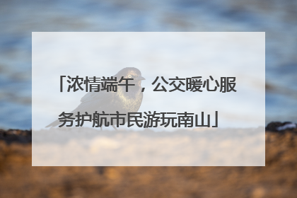 浓情端午，公交暖心服务护航市民游玩南山