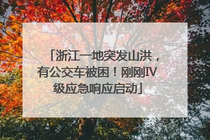 浙江一地突发山洪，有公交车被困！刚刚Ⅳ级应急响应启动