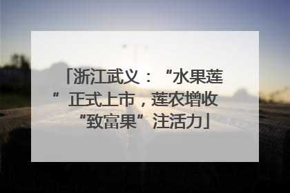 浙江武义：“水果莲”正式上市，莲农增收“致富果”注活力