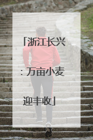 浙江长兴：万亩小麦迎丰收