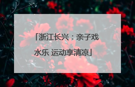 浙江长兴：亲子戏水乐 运动享清凉
