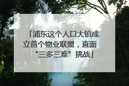 浦东这个人口大镇成立首个物业联盟，直面“三多三难”挑战