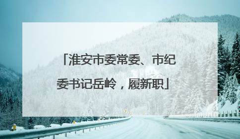淮安市委常委、市纪委书记岳岭，履新职