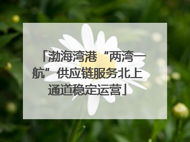 渤海湾港“两湾一航”供应链服务北上通道稳定运营