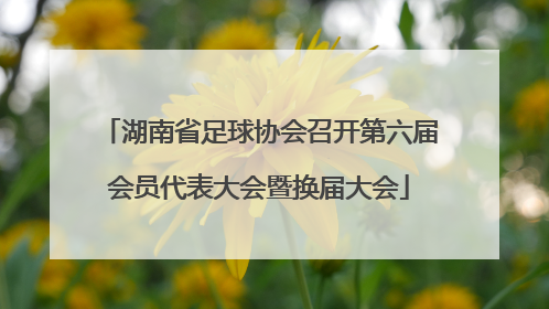 湖南省足球协会召开第六届会员代表大会暨换届大会
