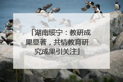 湖南绥宁：教研成果显著，共情教育研究成果引关注