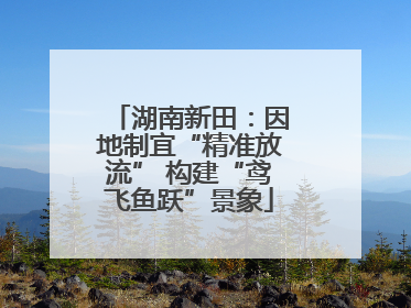 湖南新田：因地制宜“精准放流” 构建“鸢飞鱼跃”景象