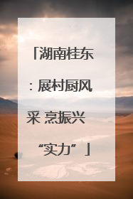 湖南桂东：展村厨风采 烹振兴“实力”