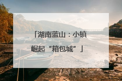 湖南蓝山：小镇崛起“箱包城”