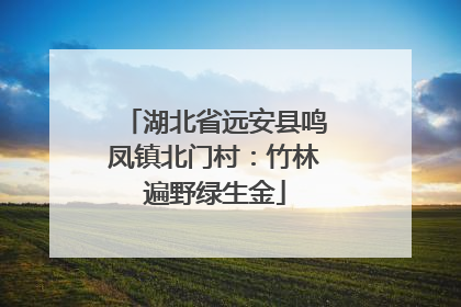 湖北省远安县鸣凤镇北门村：竹林遍野绿生金