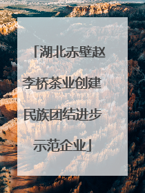 湖北赤壁赵李桥茶业创建民族团结进步示范企业