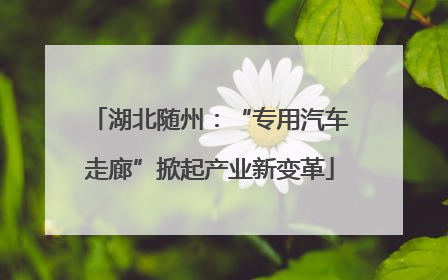 湖北随州：“专用汽车走廊”掀起产业新变革