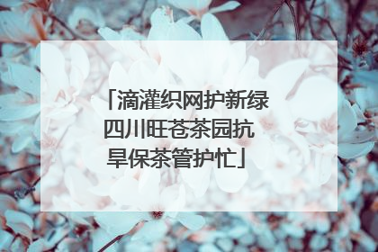 滴灌织网护新绿 四川旺苍茶园抗旱保茶管护忙