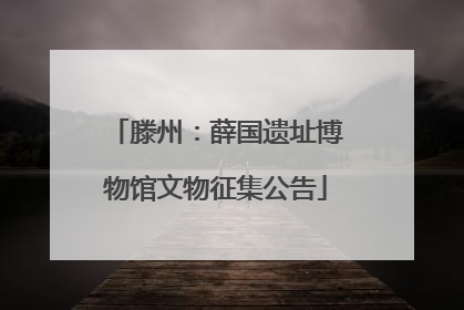 滕州：薛国遗址博物馆文物征集公告