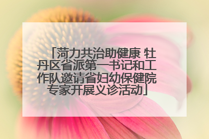 菏力共治助健康 牡丹区省派第一书记和工作队邀请省妇幼保健院专家开展义诊活动