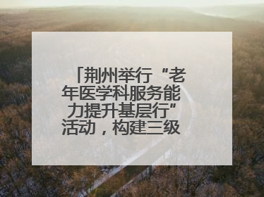 荆州举行“老年医学科服务能力提升基层行”活动，构建三级联动健康网