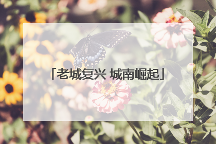 老城复兴 城南崛起