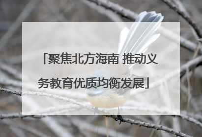 聚焦北方海南 推动义务教育优质均衡发展