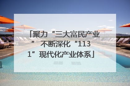聚力“三大富民产业” 不断深化“1131”现代化产业体系