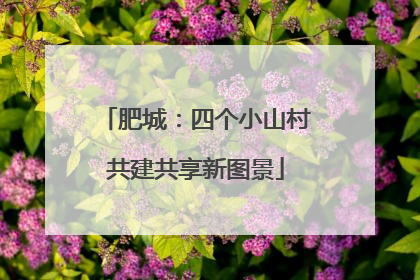 肥城：四个小山村共建共享新图景
