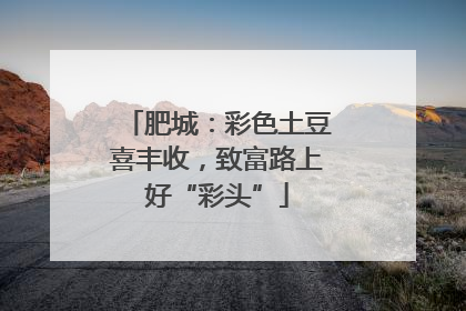 肥城：彩色土豆喜丰收，致富路上好“彩头”