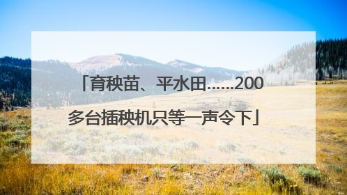 育秧苗、平水田……200多台插秧机只等一声令下