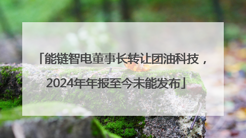 能链智电董事长转让团油科技，2024年年报至今未能发布