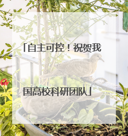 自主可控！祝贺我国高校科研团队