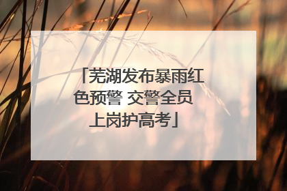 芜湖发布暴雨红色预警 交警全员上岗护高考