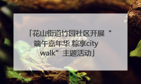 花山街道竹园社区开展“端午嘉年华 粽享city walk”主题活动