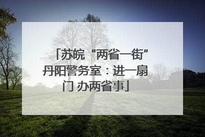 苏皖“两省一街”丹阳警务室：进一扇门 办两省事