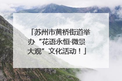 苏州市黄桥街道举办“花语永恒·微景大观”文化活动！