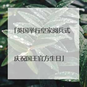 英国举行皇家阅兵式庆祝国王官方生日