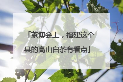 茶博会上，福建这个县的高山白茶有看点