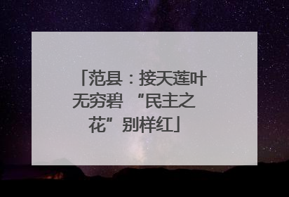 范县：接天莲叶无穷碧 “民主之花”别样红