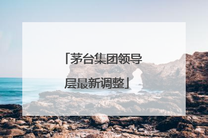 茅台集团领导层最新调整