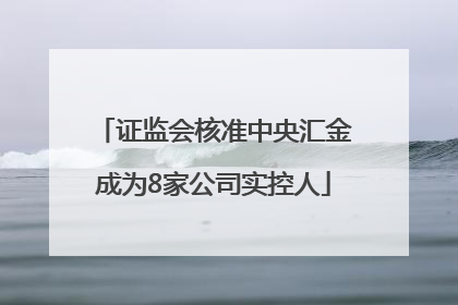 证监会核准中央汇金成为8家公司实控人