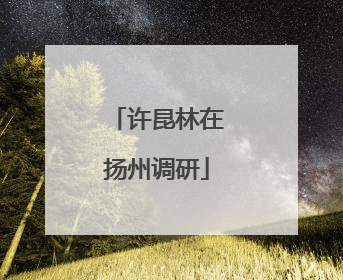 许昆林在扬州调研