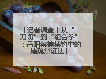 记者调查丨从“一刀切”到“组合拳”：岳阳禁捕禁钓中的堵疏辩证法