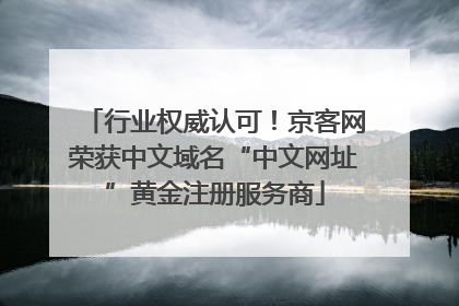 行业权威认可！京客网荣获中文域名“中文网址”黄金注册服务商