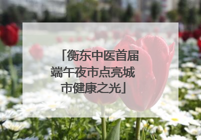 衡东中医首届端午夜市点亮城市健康之光