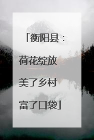 衡阳县：荷花绽放 美了乡村 富了口袋