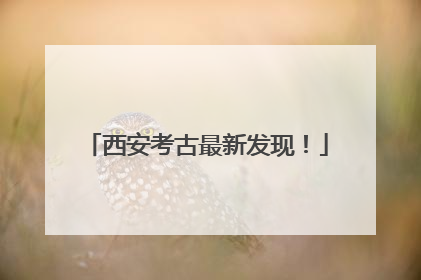 西安考古最新发现！
