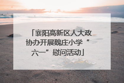 襄阳高新区人大政协办开展魏庄小学“六一”慰问活动